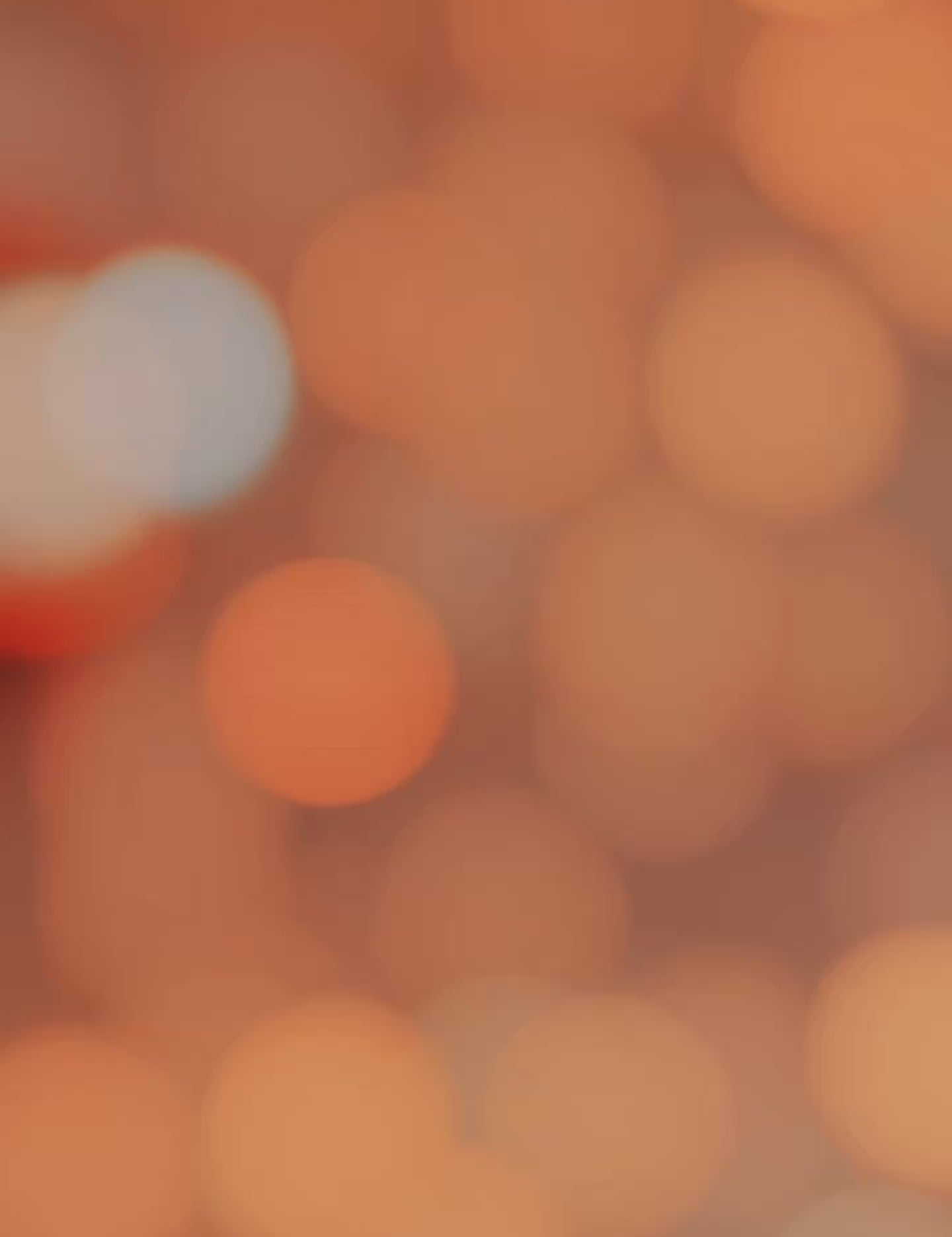 2e87ed862a4e4578b7a76f044c6cece0.thumbnail.0000000000.jpg