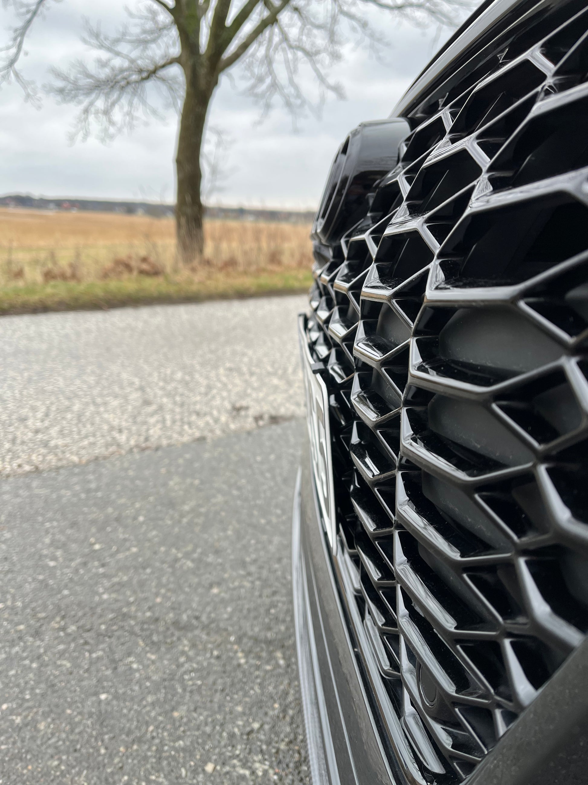 3D Druck Kennzeichenhalter Klemmung rahmenlos für Audi Wabengrill
